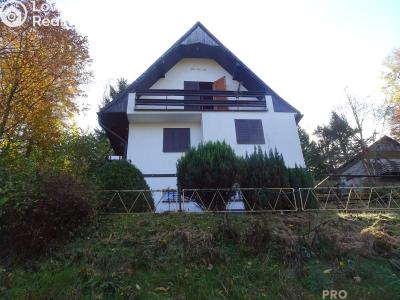 Sale hut Bojanov č. 1