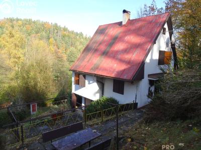 Sale hut Bojanov č. 4