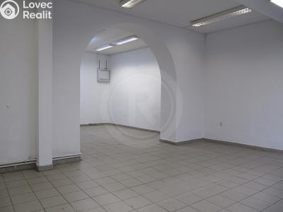 Pronájem obchodního prostoru České Budějovice, Lannova tř. č. 1