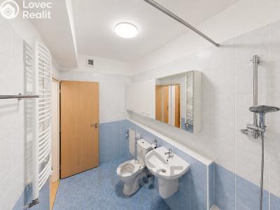 Sale apartment 1+KK Praha, Poděbradská č. 25
