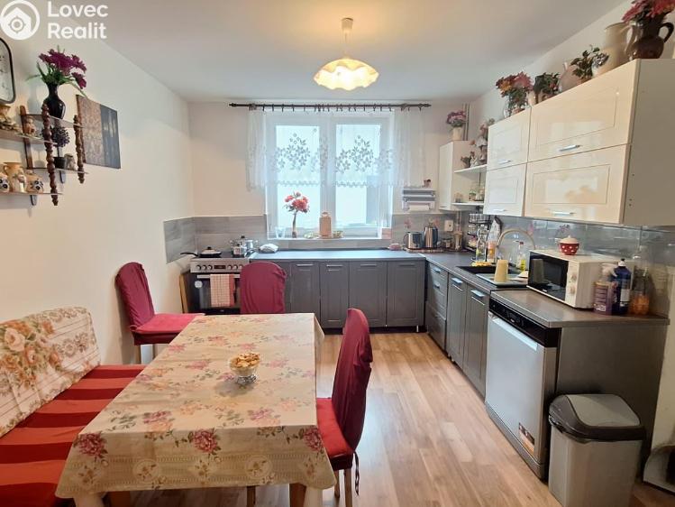 Продажа семейного дома Duchcov, Bílinská 473/21 č. 4