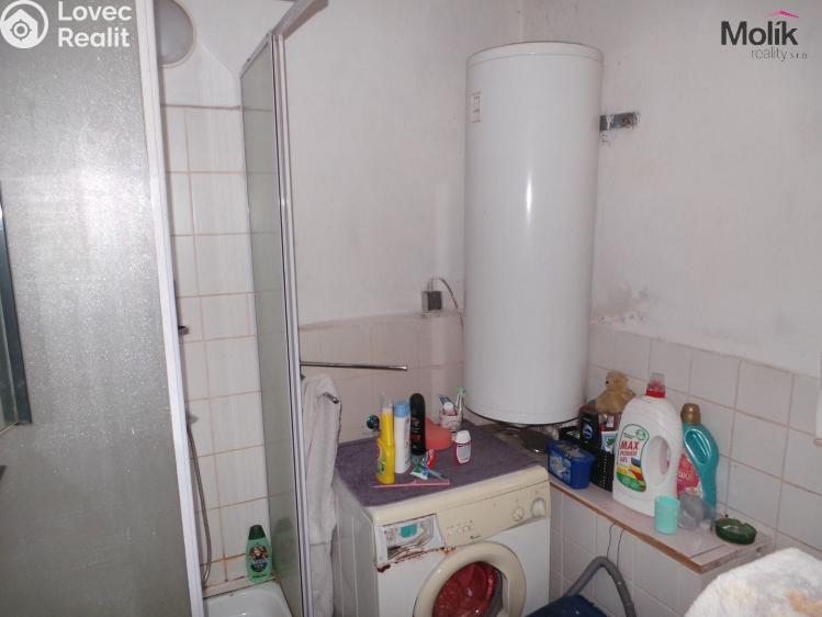 Продажа семейного дома Žiželice č. 3