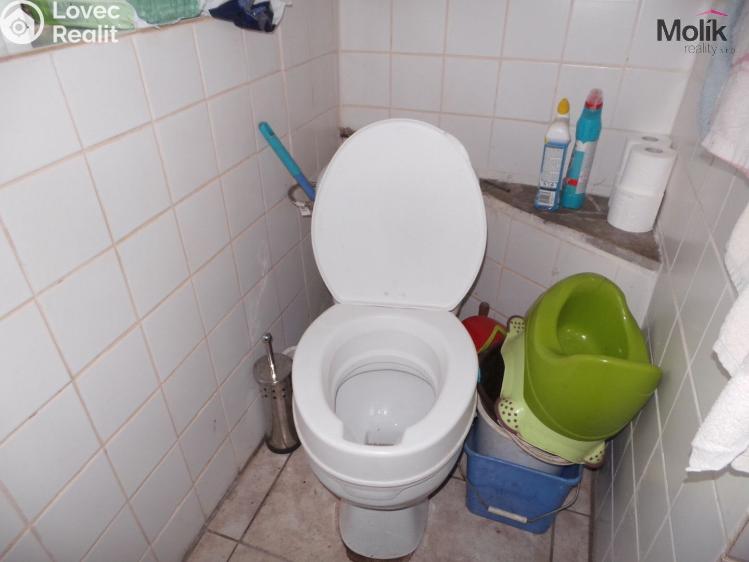 Продажа семейного дома Žiželice č. 4