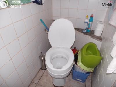 Sale family house Žiželice č. 4