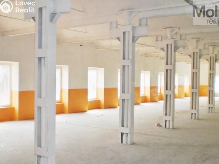 Rent production hall Děčín, Teplická č. 4