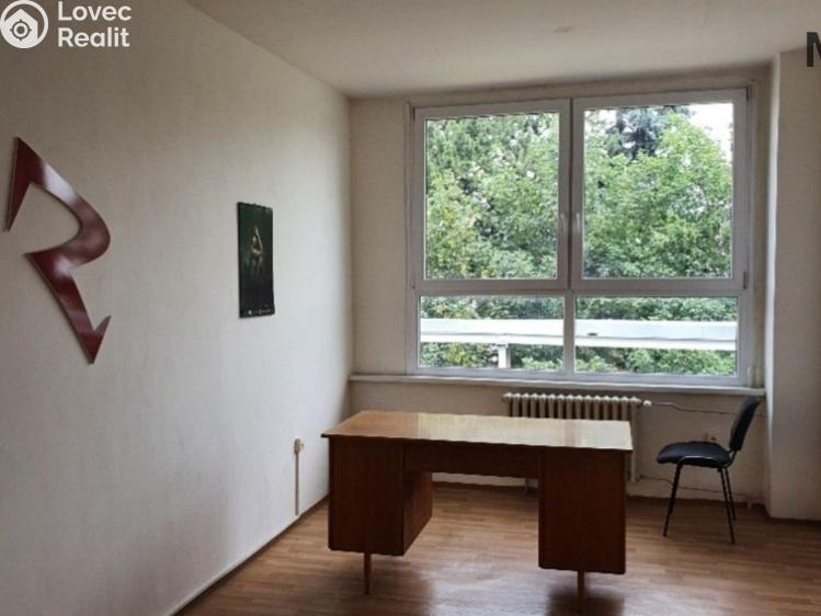 Rent office space Malé Březno č. 2