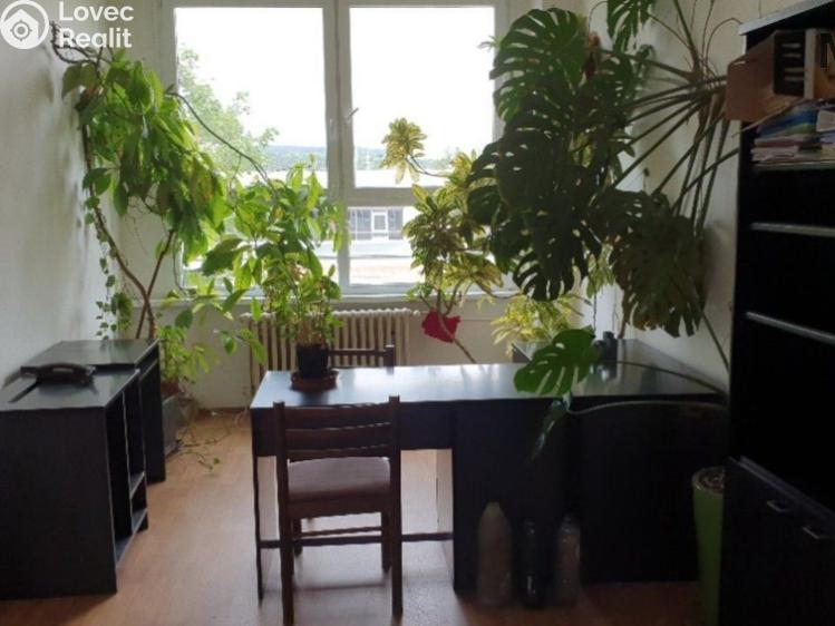 Rent office space Malé Březno č. 4