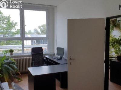Rent office space Malé Březno č. 1