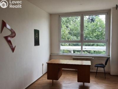 Rent office space Malé Březno č. 2
