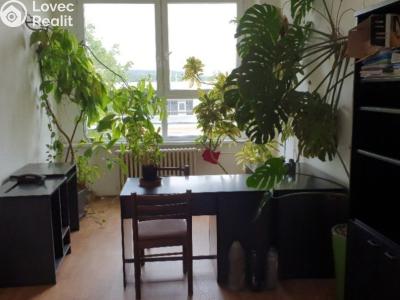 Rent office space Malé Březno č. 4