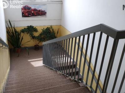 Rent office space Malé Březno č. 6