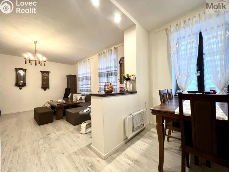 Sale multi-gen house Žatec, Žižkovo náměstí 86 č. 7