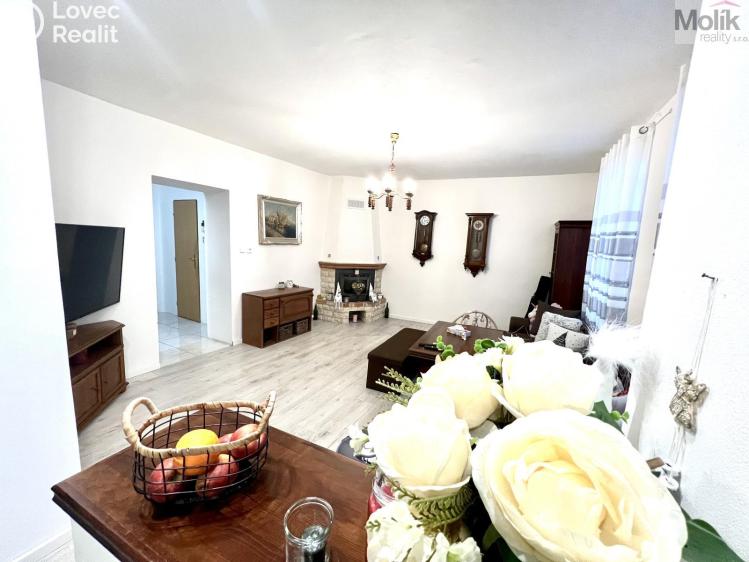 Sale multi-gen house Žatec, Žižkovo náměstí 86 č. 10