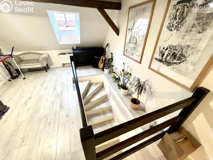 Sale multi-gen house Žatec, Žižkovo náměstí 86 č. 17