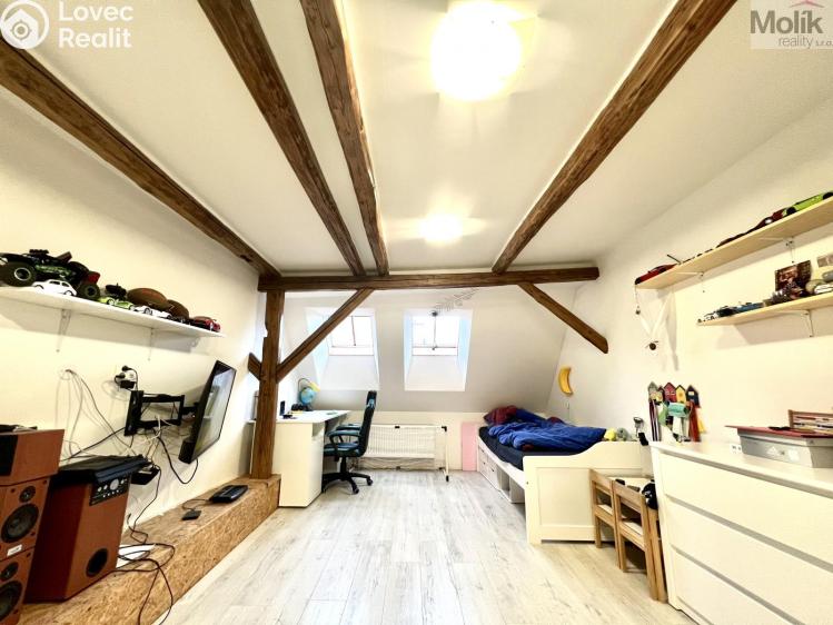 Sale multi-gen house Žatec, Žižkovo náměstí 86 č. 20