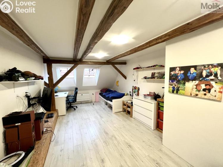 Sale multi-gen house Žatec, Žižkovo náměstí 86 č. 21