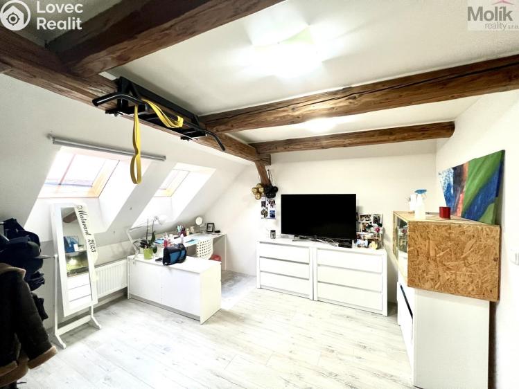 Sale multi-gen house Žatec, Žižkovo náměstí 86 č. 22