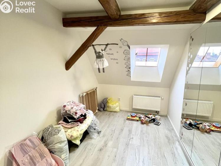 Sale multi-gen house Žatec, Žižkovo náměstí 86 č. 24