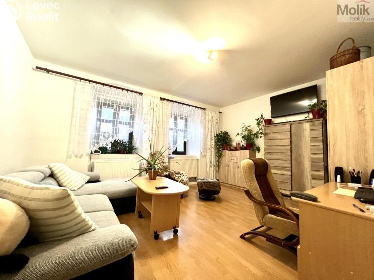 Sale multi-gen house Žatec, Žižkovo náměstí 86 č. 31