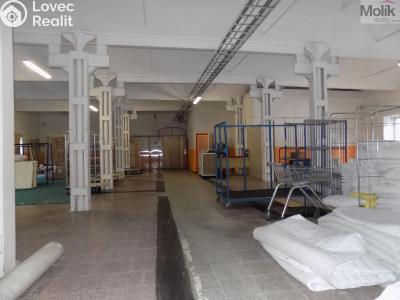 Rent warehouse Děčín, Teplická č. 4