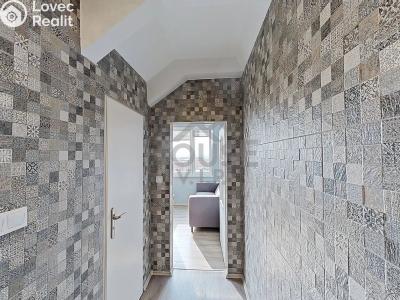 Продажа квартиры 4+1 Praha, Mezi školami č. 20