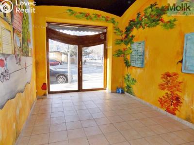 Pronájem obchodního prostoru Teplice, Benešovo náměstí č. 2