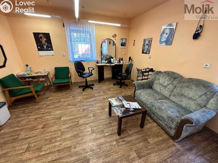 Sale multi-gen house Žatec, Tyršova č. 4