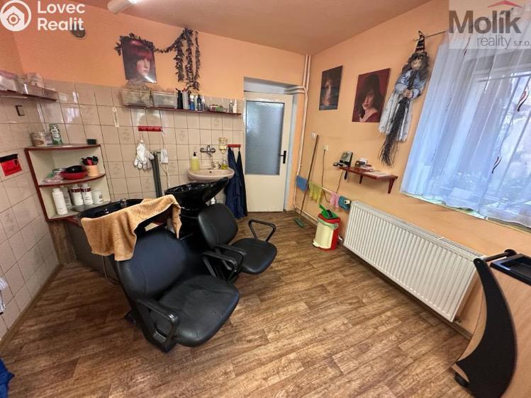 Sale multi-gen house Žatec, Tyršova č. 5