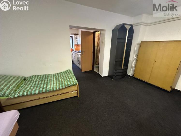 Sale multi-gen house Žatec, Tyršova č. 9