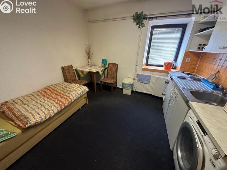 Sale multi-gen house Žatec, Tyršova č. 12