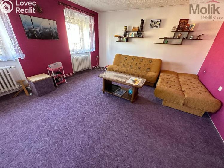 Sale multi-gen house Žatec, Tyršova č. 19