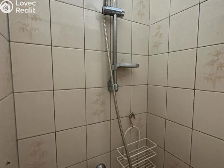 Sale multi-gen house Žatec, Tyršova č. 22