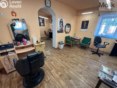 Sale multi-gen house Žatec, Tyršova č. 3