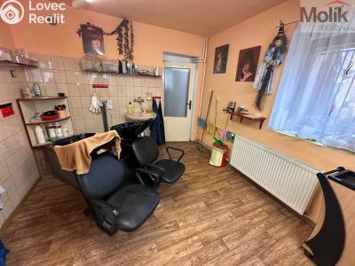 Sale multi-gen house Žatec, Tyršova č. 5