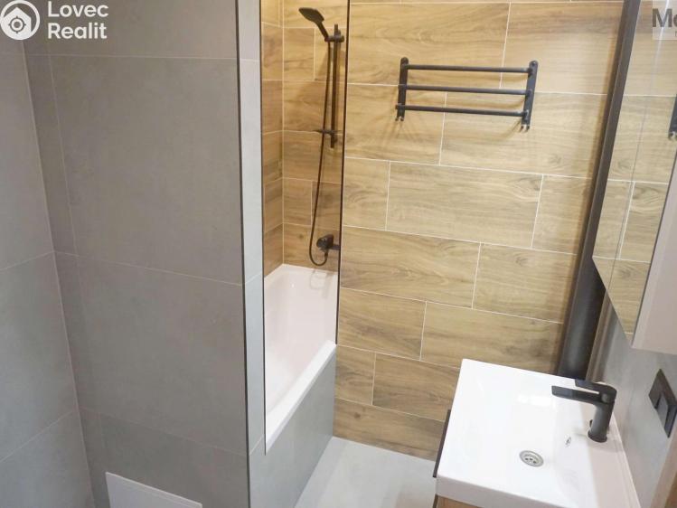 Rent apartment 2+1 Litvínov, Studentská č. 19