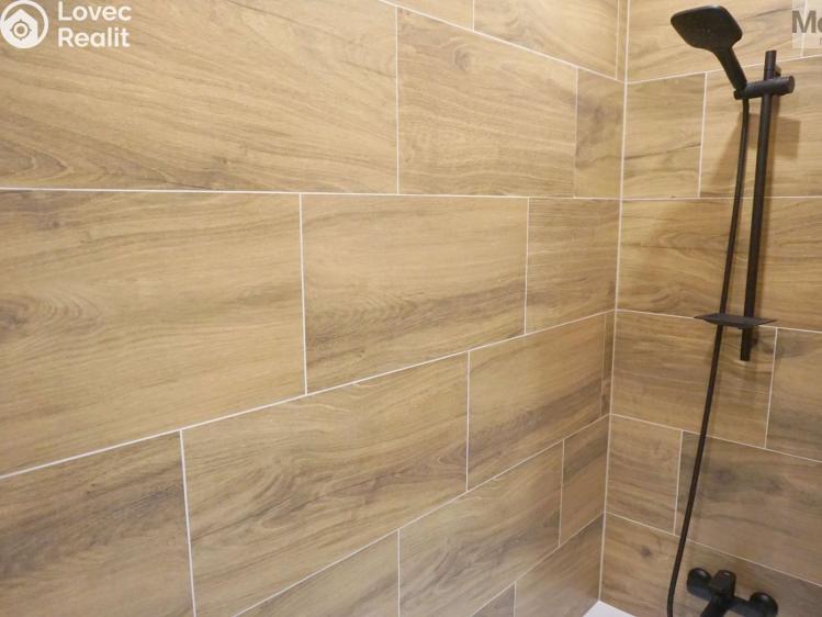 Rent apartment 2+1 Litvínov, Studentská č. 21