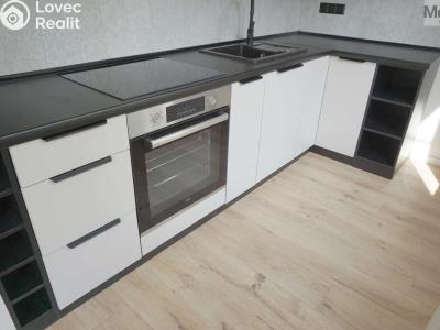 Rent apartment 2+1 Litvínov, Studentská č. 4