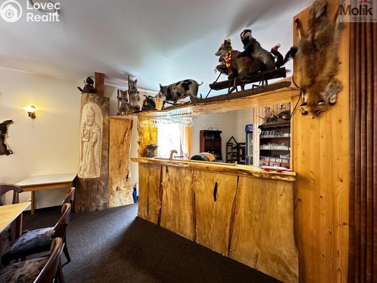 Rent hotel Mikulov, Růžová č. 3