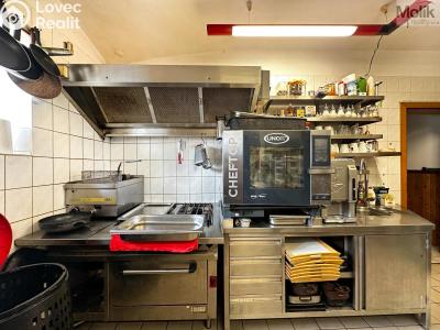 Rent hotel Mikulov, Růžová č. 6