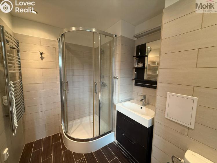 Rent apartment 1+1 Litvínov, Ladova č. 6