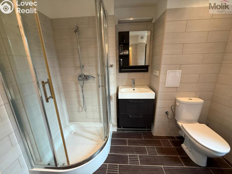 Rent apartment 1+1 Litvínov, Ladova č. 7