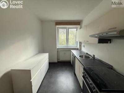 Rent apartment 1+1 Litvínov, Ladova č. 2