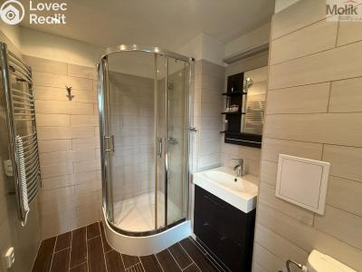 Rent apartment 1+1 Litvínov, Ladova č. 6