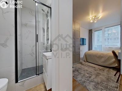 Продаж квартири 5+KK Praha, Přemyslovská č. 13