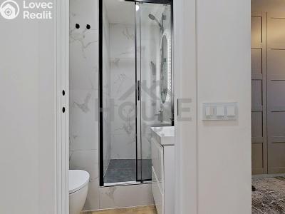 Продаж квартири 5+KK Praha, Přemyslovská č. 14