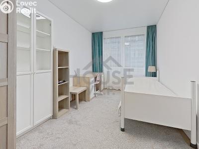 Продаж квартири 5+KK Praha, Přemyslovská č. 24