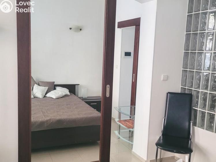 Pronájem bytu 2+1 Praha, Lublaňská č. 8