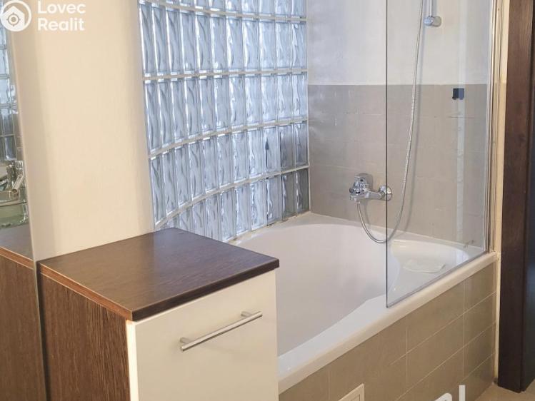 Pronájem bytu 2+1 Praha, Lublaňská č. 11