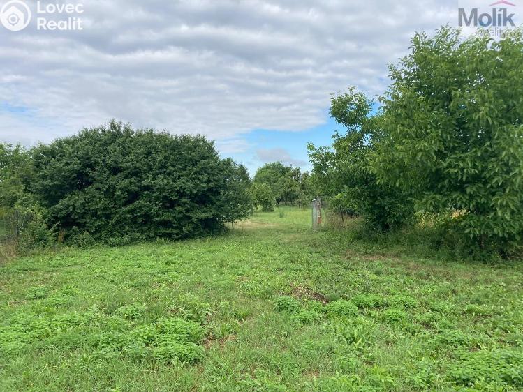 Sale multi-gen house Horní Moštěnice, Náměstí Dr. M. Tyrše č. 17