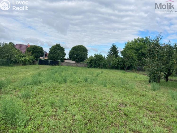 Sale multi-gen house Horní Moštěnice, Náměstí Dr. M. Tyrše č. 20